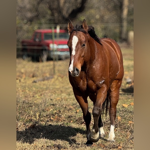 Meet your Posher, Milly Quinn - Picture 2 of 3